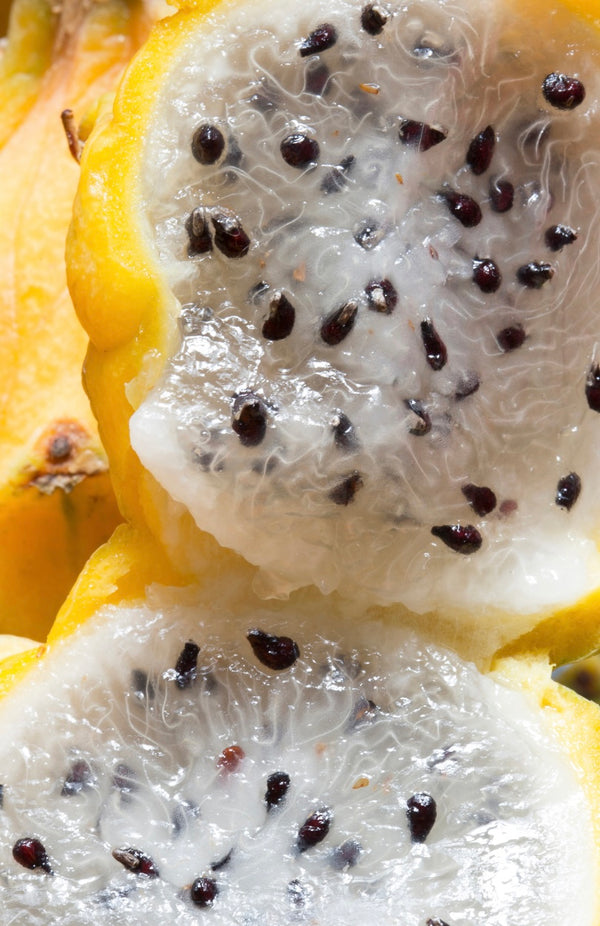 Samen der gelben Drachenfrucht | Pitaya Drachenfrucht 