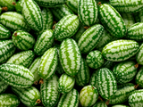 Buy Cucamelon Seeds Online - Fresh and High-Quality Seeds for Sale - Your One-Stop Shop for Cucamelon Seeds