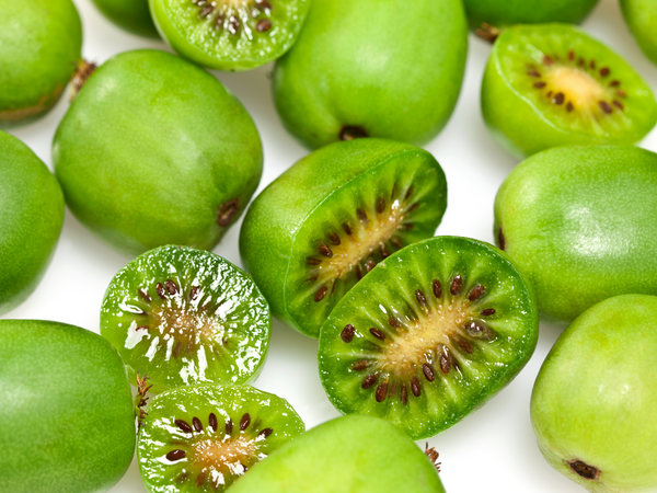 Get Ready to Savor the Juicy and Sweet Flavor of Mini Kiwi Berries with Our High-Quality Seeds (Actinidia arguta) - Order Now and Start Growing!