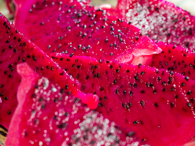 Unlock the amazing health benefits of Red Dragon Fruit by growing your own with our high-quality seeds!