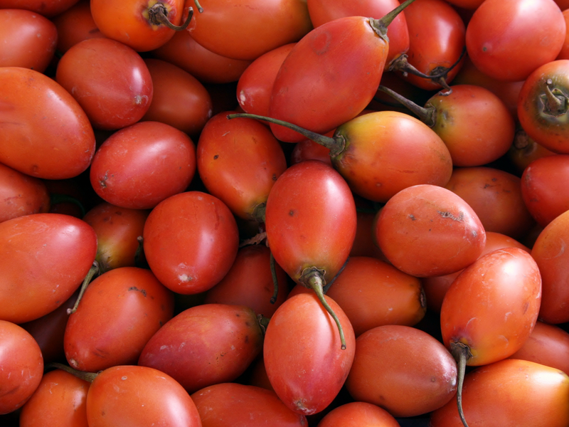 Buy Tamarillo seeds online and elevate your cooking game! These versatile and tasty seeds are perfect for adding unique flavor to a variety of dishes.